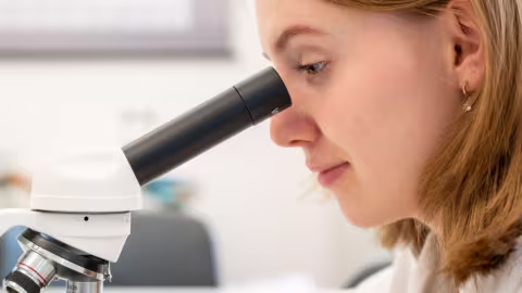 Abitur auf hohem Niveau