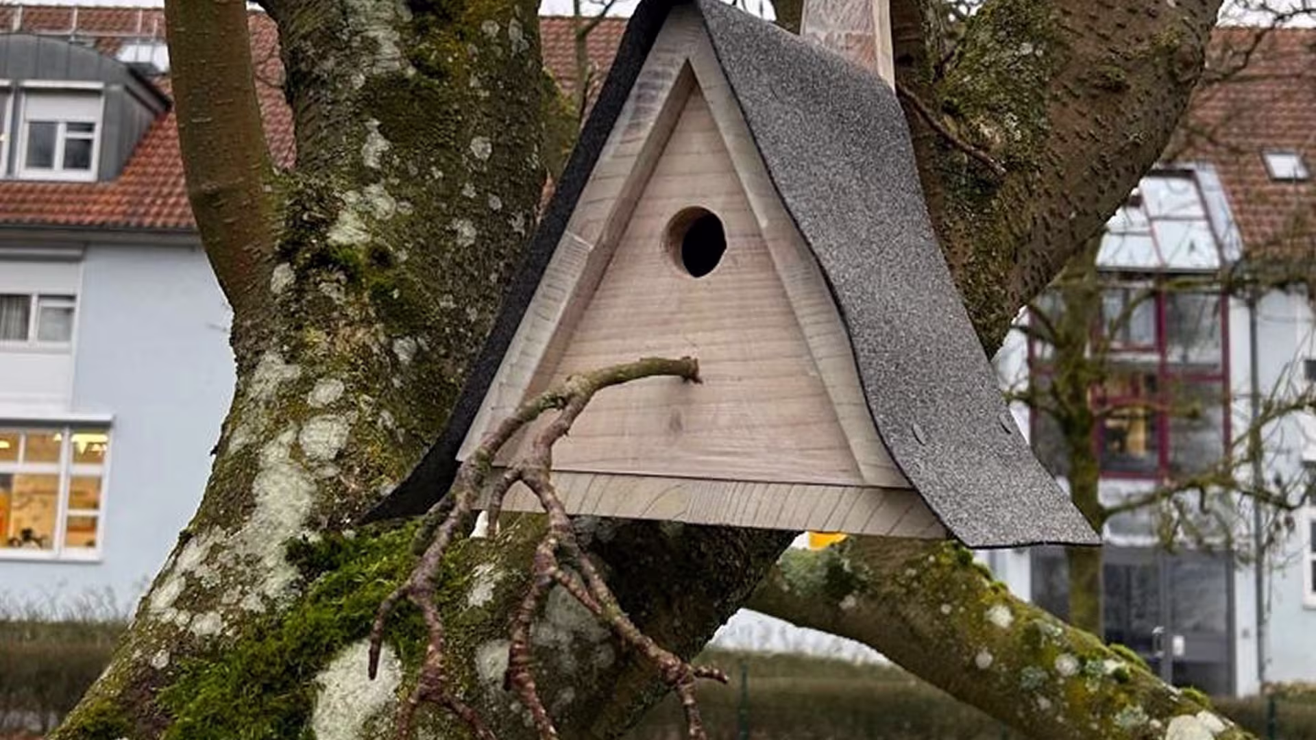 Outdoor Adventure baut Nistkästen für die Vogelwelt
