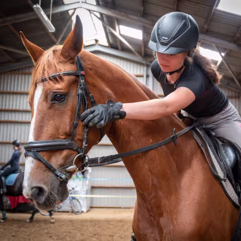 Reiten: Sport im privaten Internatsgymnasium Torgelow am See