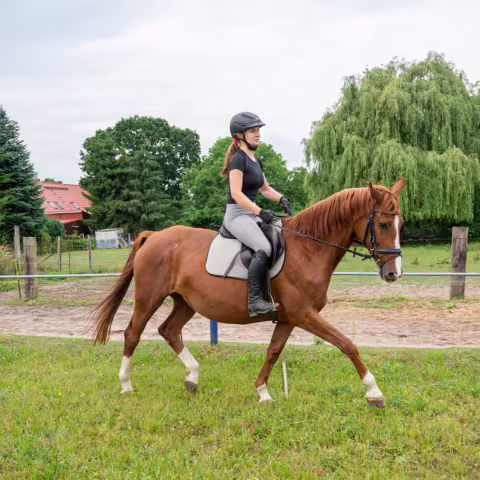 Reiten: Sport im privaten Internatsgymnasium Torgelow am See
