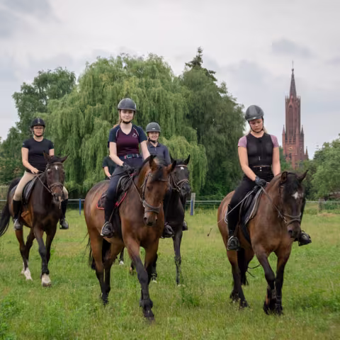 Reiten: Sport im privaten Internatsgymnasium Torgelow am See